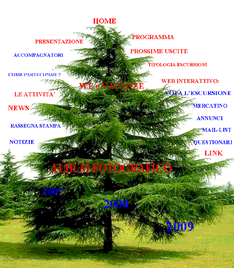 Associazione Ogni Quota